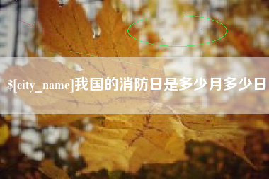 宁津我国的消防日是多少月多少日