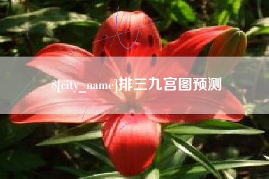 宁津排三九宫图预测
