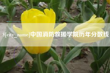 宁津中国消防救援学院历年分数线
