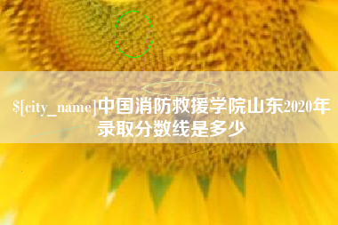 宁津中国消防救援学院山东2020年录取分数线是多少