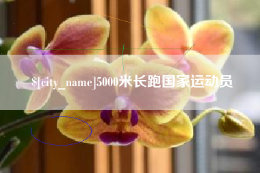 宁津5000米长跑国家运动员