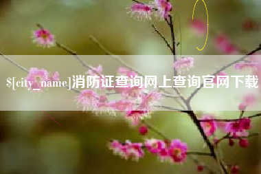 宁津消防证查询网上查询官网下载
