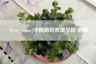 宁津中国消防救援学院 老师