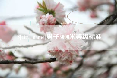 宁津男子5000米等级标准