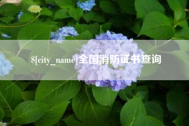 宁津全国消防证书查询