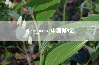 宁津中国第9金