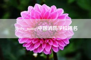 宁津中国消防学校排名
