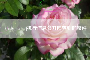 宁津执行信息公开网查到的案件