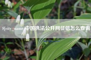 宁津中国执法公开网征信怎么查询