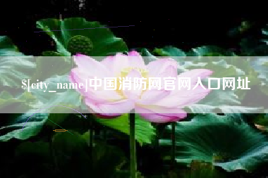 宁津中国消防网官网入口网址