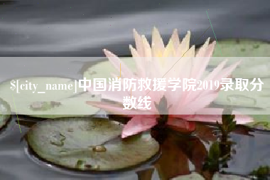 宁津中国消防救援学院2019录取分数线