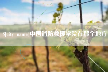 宁津中国消防救援学院在那个地方