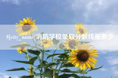宁津消防学校录取分数线是多少