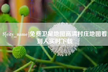 宁津免费卫星地图高清村庄地图看到人实时下载