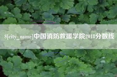 宁津中国消防救援学院2018分数线