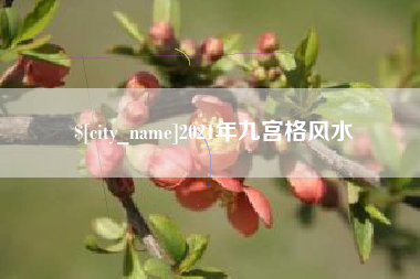 宁津2021年九宫格风水