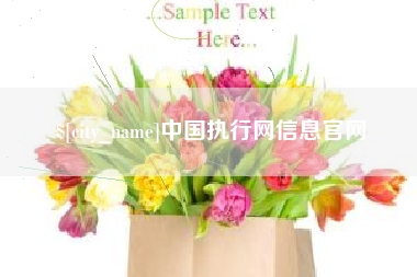 宁津中国执行网信息官网