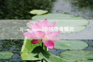宁津中国夺金情况