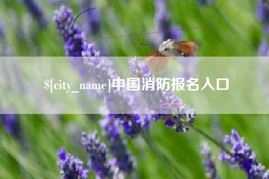 宁津中国消防报名入口