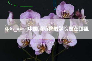 宁津中国消防救援学院是在哪里
