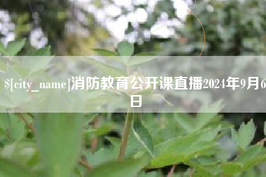 宁津消防教育公开课直播2024年9月6日