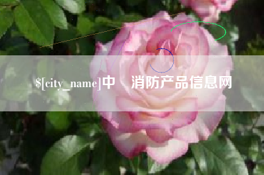 宁津中囯消防产品信息网