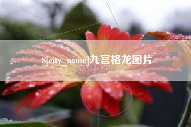宁津九宫格龙图片