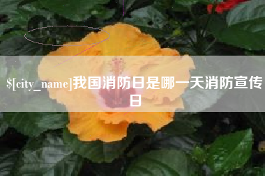 宁津我国消防日是哪一天消防宣传日