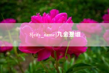 宁津九金是谁