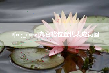 宁津九宫格位置代表成员图