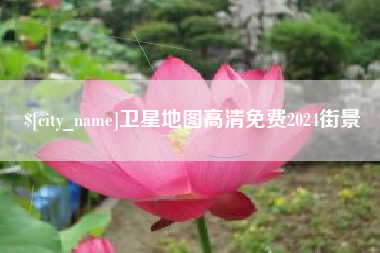 宁津卫星地图高清免费2024街景