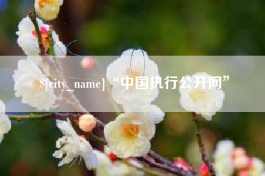 宁津“中国执行公开网”