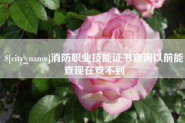 宁津消防职业技能证书查询以前能查现在查不到