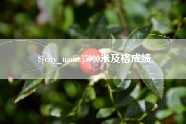 宁津5000米及格成绩