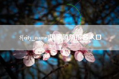 宁津国家消防报名入口
