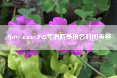 宁津2025年消防员报名时间表格