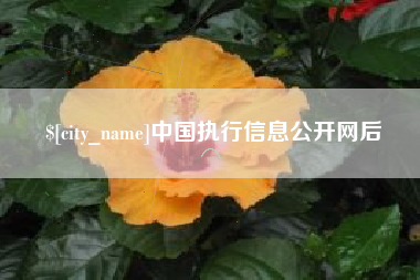 宁津中国执行信息公开网后