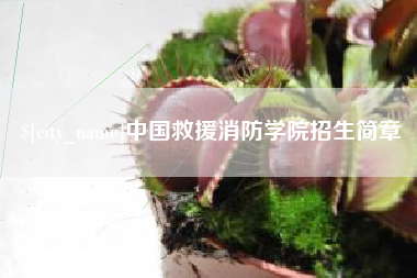 宁津中国救援消防学院招生简章