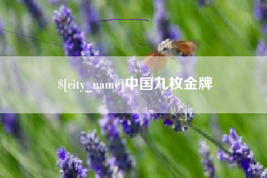宁津中国九枚金牌