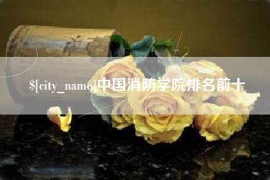 宁津中国消防学院排名前十