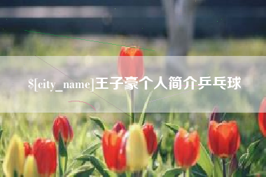 宁津王子豪个人简介乒乓球