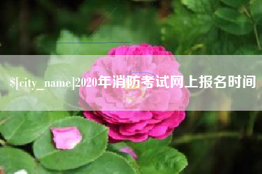宁津2020年消防考试网上报名时间