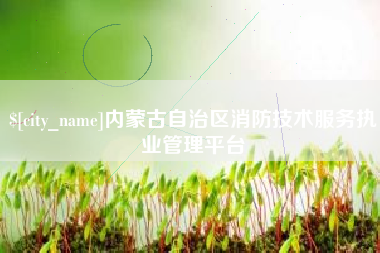 宁津内蒙古自治区消防技术服务执业管理平台