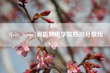 宁津消防救援学院四川分数线