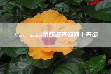 宁津消防证查询网上查询