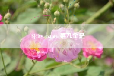 宁津第九金是