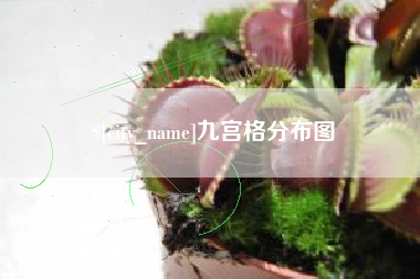 宁津九宫格分布图