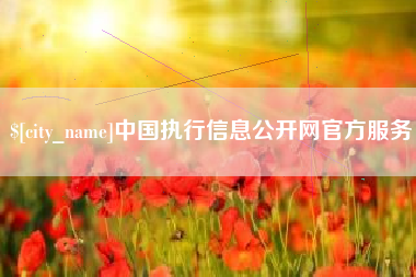 宁津中国执行信息公开网官方服务