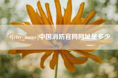 宁津中国消防官网网址是多少