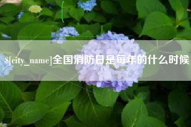 宁津全国消防日是每年的什么时候